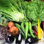 HUG the Kitchen & Wine - 横浜、鎌倉の地場野菜を使用