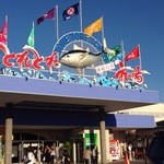 とれとれ市場 鮮魚コーナー - 