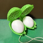 龍亀 - 生卵（家）