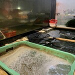 居魚屋 網元 別邸 - 店内生簀