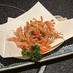 うまかもんの旅 博多っ子 - 