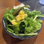 大衆酒場 みやにしテツオ - サービスのサラダ