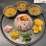 Curry Spice Gelateria KALPASI - カレー三種(サンバル、レモンチキン、チャイニーズポークキーマ)、ご飯普通盛1,600円