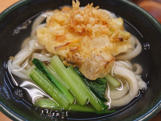 Kansai Fu Teuchi Udon Irasshai photo 5