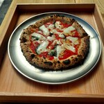 Cocci nella - マルゲリータ