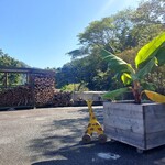 Cocci nella - 雰囲気5