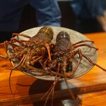 Chisou Nishi Kenichi