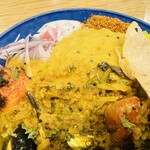 dahlia spice curry - 