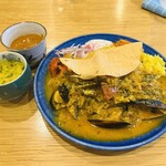 dahlia spice curry - 