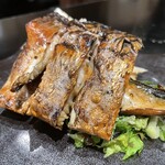 토로로토 사카나 치비마루 쇼우텐