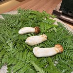 柚木元 - 松茸3種