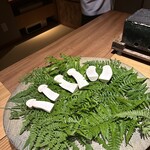 柚木元 - 松茸3種