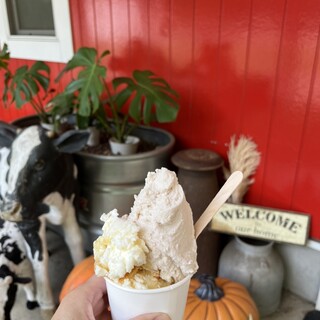 口コミ一覧 : icecream factory PiPi （ピピ【旧店名】東京