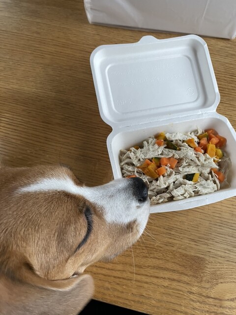 エンゼルフォレスト 白河高原（【旧店名】レジーナの森） - 西郷村その他（ホテル）の写真