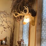 カフェジジ - 秋を感じる飾りつけ