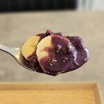PROTEIN LAB - 