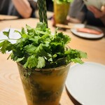  カムゥン東桜 theパクチ+飯店 - 先ずはお約束のパクヒートで乾杯ですが、パクチー多すぎてお酒に辿り付かないので私達は生ビールも同時注文でパクチーツマミで呑みます！