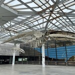 カレー饂飩たちばな - カレーうどんを食べた後に、外は蒸し暑かったので自然史博物館で時間を潰した。