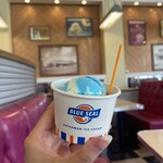 ブルーシール - 