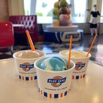 ブルーシール - 