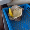 和風レストラン やまさ お魚センター店