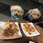 たこやき酒場 choice - 