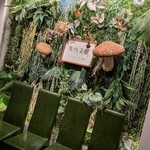 Shangri-La’s secret - 