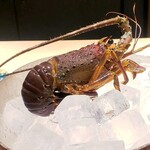 新日本料理おぶね - 