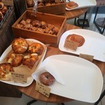 下田流 - 陳列棚の様子①。