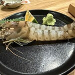 ツムギビヨリ - 