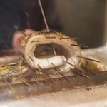 参宮橋 あさや - こんなに分厚い鰻は初めて