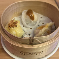 STEAMAN - 