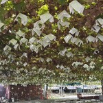 頑固おやじの手打ちほうとう - 