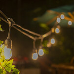 舞浜オリーブの庭 - 