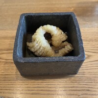 こゝちよ - 