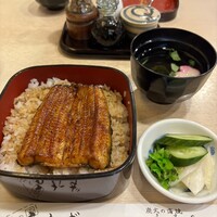 満寿家 - うなぎランチ