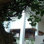 Hau Tree Lanai Restaurant - 