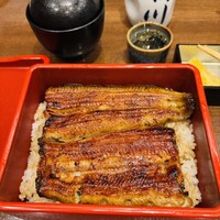 新宿 うなぎ菊川 - 