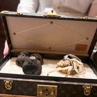 スガラボヴィー - 
