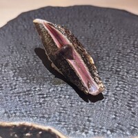 SUSHI TOKYO TEN、 六本木店 - 