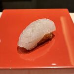 2nd EDITION TERUZUSHI - ヤリイカ