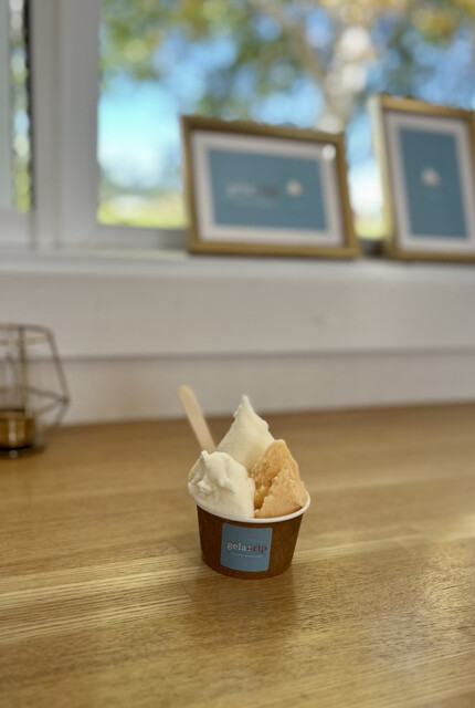 gelatrip （ジェラートリップ） - 西中/ジェラート・アイスクリーム