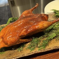 新中国料理HARAKAWA 北新地店 - 