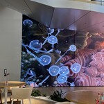 Shiseido Kitchen Lab - 