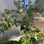 Shiseido Kitchen Lab - 