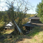 Koubou Shizemmura - 花畑から見た外観