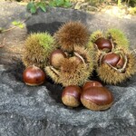 小布施堂本店 - 