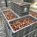 小布施堂本店 - 