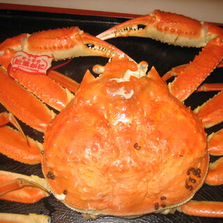 はも・天然ふぐ 銀座 福和_1