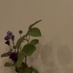 寿し ひでたか - 